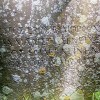 It's all Greek to me - Cecil Headlam's headstone